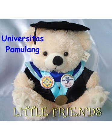 Boneka Wisuda Universitas Pamulang - Teknik (30 cm)
